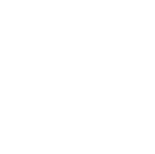 Spray Gun Icon